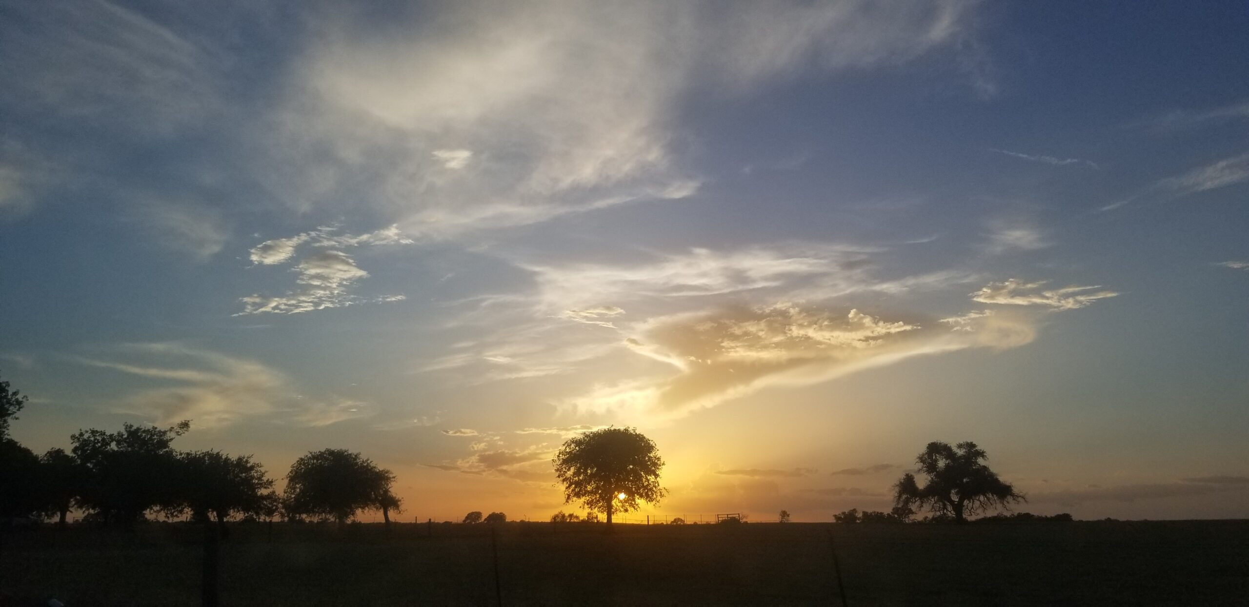 Everything I’ve Shown is What I Feel